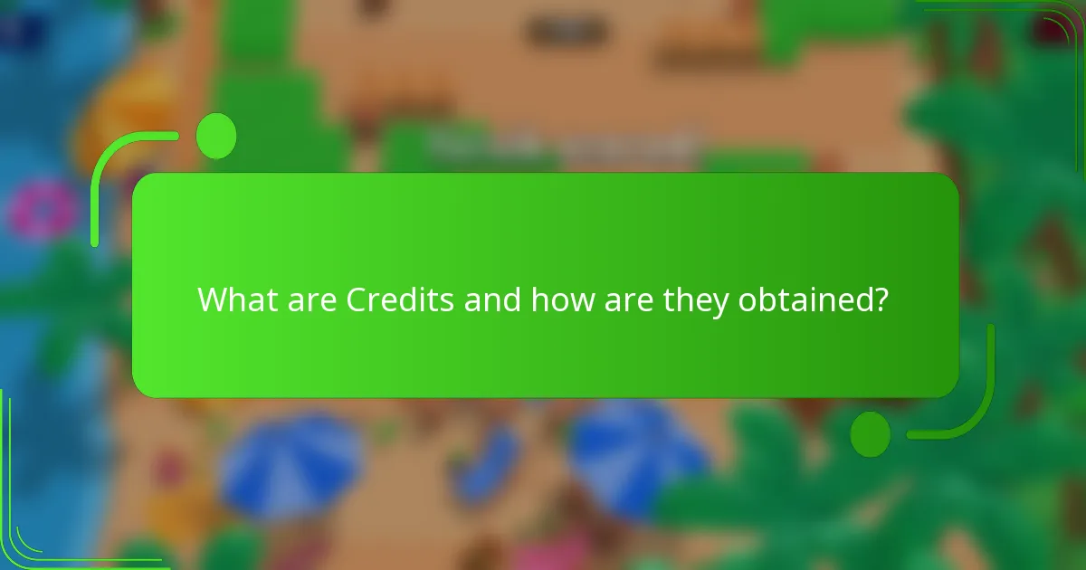 What are Credits and how are they obtained?